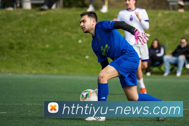 华体会体育平台生态图